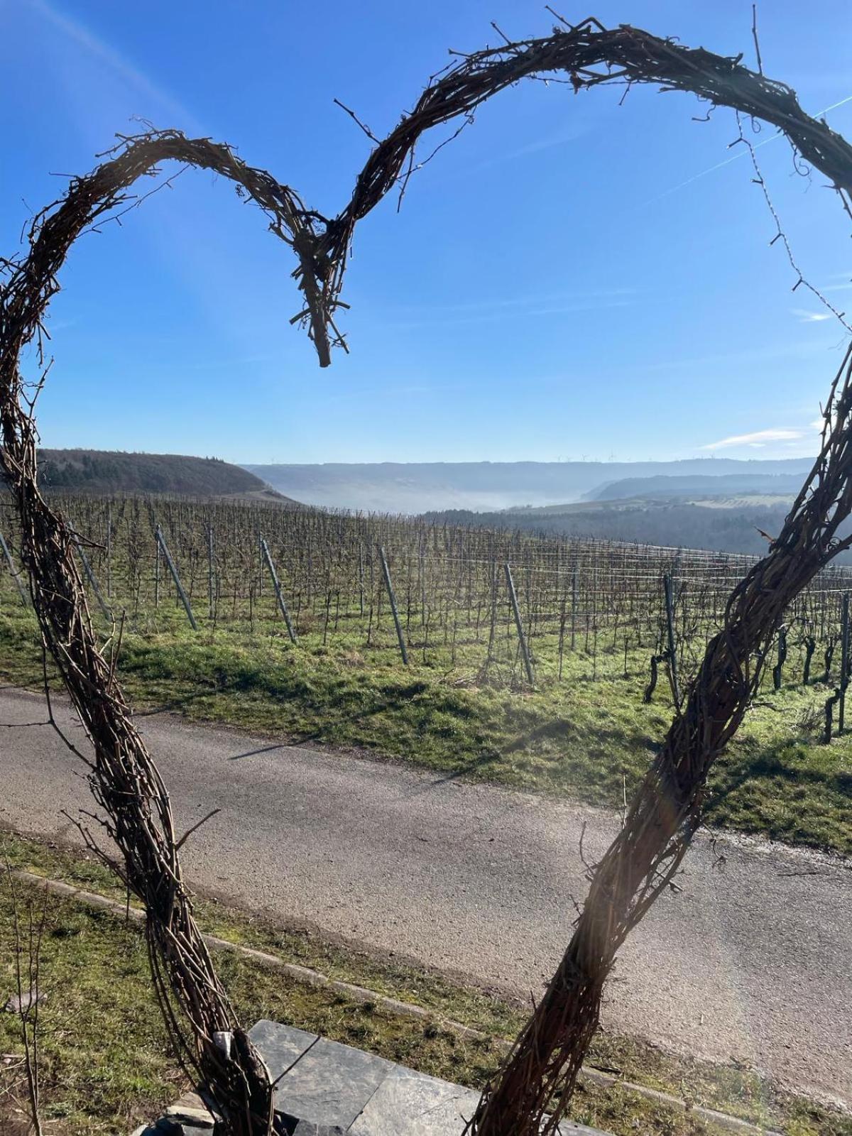 Fewo Waldblick - Urlaub Im Wein & Ferienort Bekond Zewnętrze zdjęcie